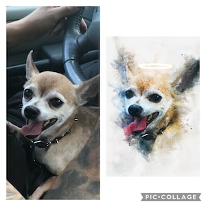 Samantha added a photo of their purchase