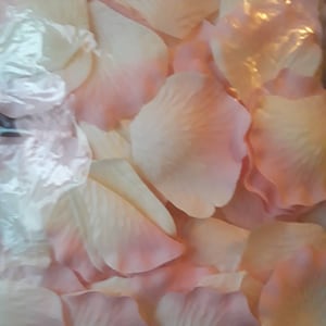 Details about   Bag of 300 Silk Rose Flower Petals Wedding Flower Girl~ Party Decor ~ White 