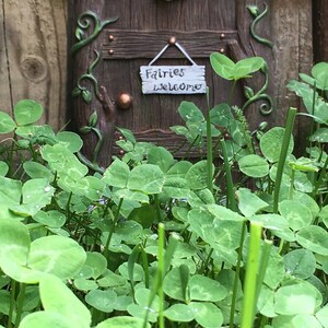 plus size ava and viv dresses