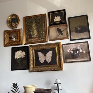 Denise added a photo of their purchase