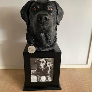 Jan added a photo of their purchase