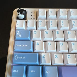 Minh added a photo of their purchase