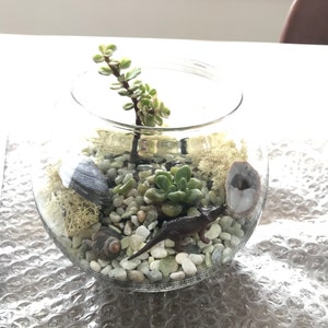 Jasmine added a photo of their purchase
