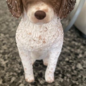 Louise a ajouté une photo de son achat