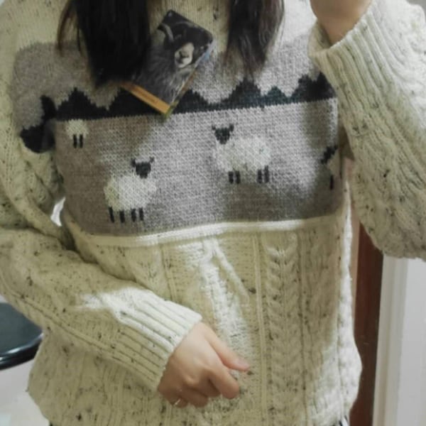 Plain Knitted Crop Woolen Jumper main image 0