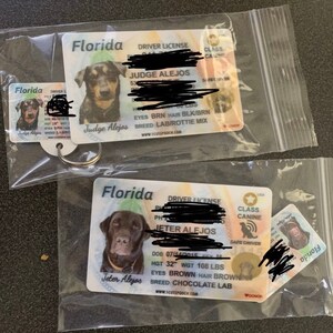 Florida Driver License Custom Pet ID Tags and Wallet Card | Etsy