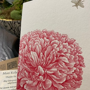 Amy adicionaram uma foto da sua compra