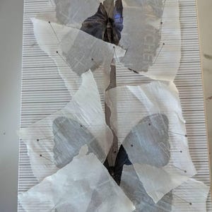 Madeline hat ein Foto des gekauften Artikels hinzugefügt