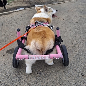 Amy added a photo of their purchase