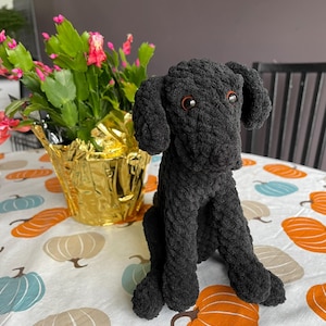 Sparrow added a photo of their purchase
