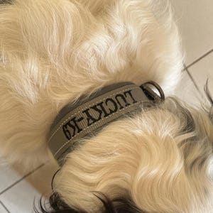 lara added a photo of their purchase