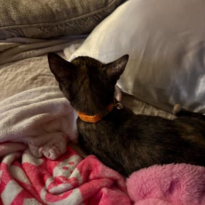 Etsy-Käufer:in hat ein Foto des gekauften Artikels hinzugefügt