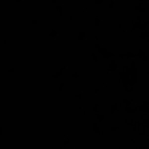 Ailsa added a photo of their purchase