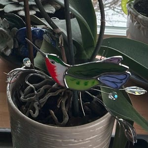 kelly added a photo of their purchase