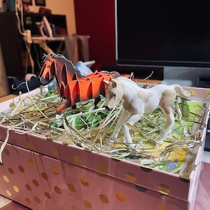 Evi added a photo of their purchase