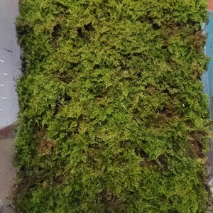 Michelle added a photo of their purchase