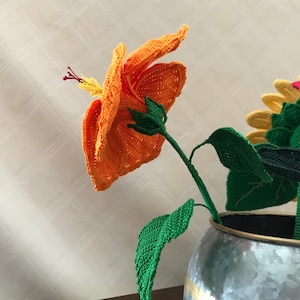 C added a photo of their purchase