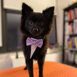 Angel ha añadido una foto de su compra