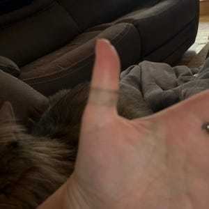 Gaybrielle added a photo of their purchase