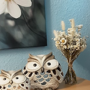 Jana added a photo of their purchase