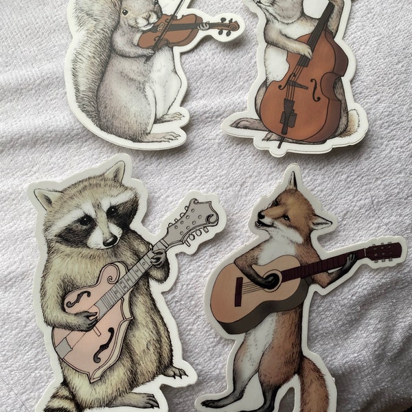 Bluegrass Vinyl Sticker - Raccoon Bumper Sticker - Waterproof Water ...
