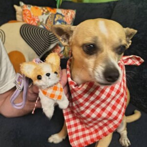 手作りチワワミニぬいぐるみ｜犬のキーホルダー｜バッグチャーム
