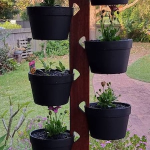 Dianna added a photo of their purchase