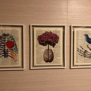 Anatomy Art Print Set 6 Medical Wall Art Anatomical Poster Home Decor ...