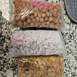 Sofia added a photo of their purchase