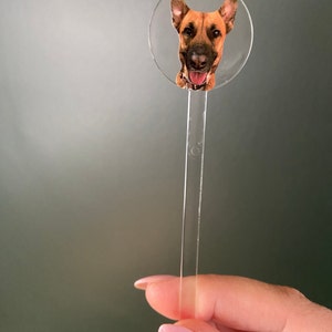 Mary hat ein Foto des gekauften Artikels hinzugefügt