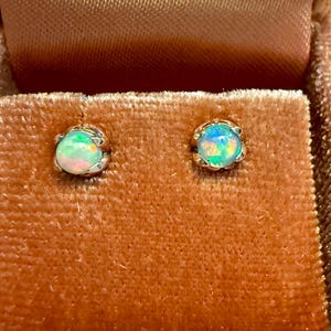 Melissa Howard added a photo of their purchase