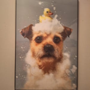 Barbara added a photo of their purchase