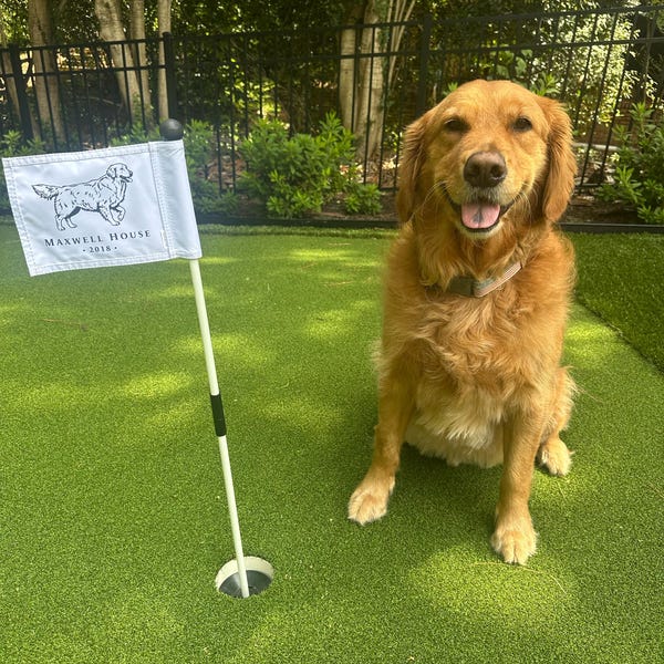 Multi-set - Custom Mini Golf Flag - 6