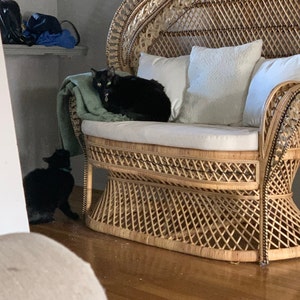 Cälee added a photo of their purchase