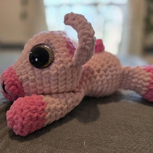 Wilma ha añadido una foto de su compra
