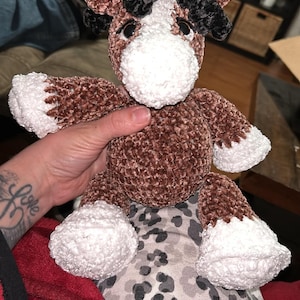 Jordan added a photo of their purchase