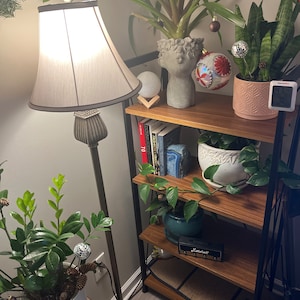 Rachel added a photo of their purchase