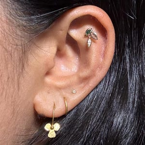 Ridi added a photo of their purchase