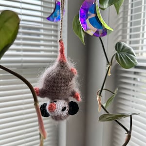 Emily added a photo of their purchase