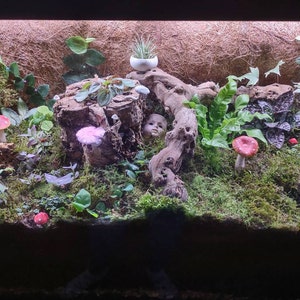 Elena a ajouté une photo de son achat