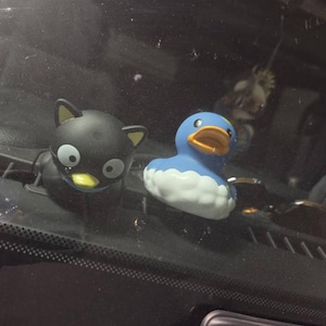 Sunshine added a photo of their purchase