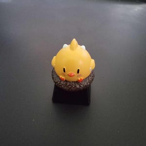 HU. added a photo of their purchase