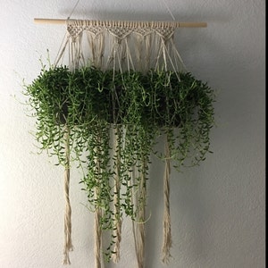 Jennifer added a photo of their purchase
