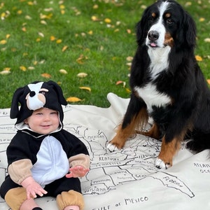 Dog baby costume deals