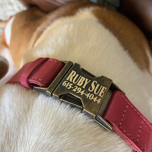 Amy added a photo of their purchase