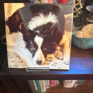 Catherine added a photo of their purchase