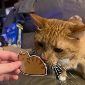 Emily ha añadido una foto de su compra