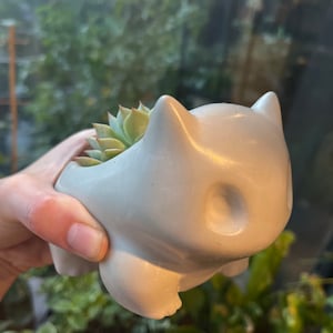 Wentao ha añadido una foto de su compra