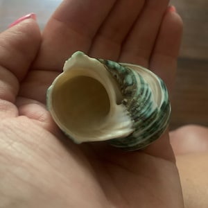 ashley added a photo of their purchase