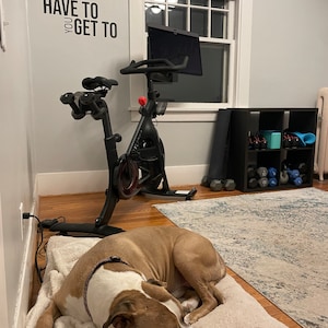 Samantha added a photo of their purchase